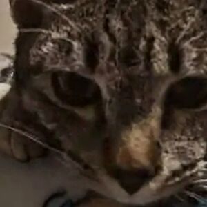 Meet your Posher, Itzel